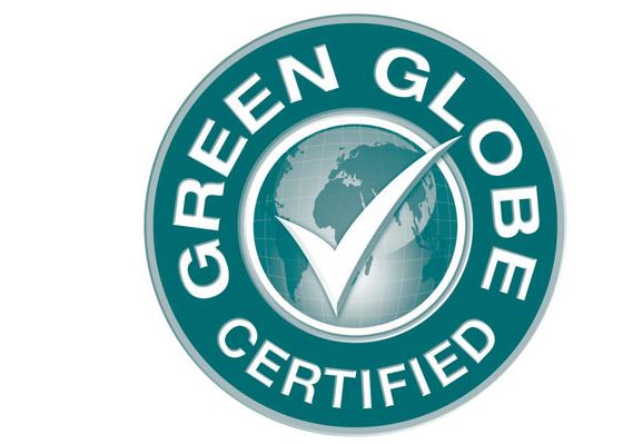 ECOLO GREEN GLOBE 