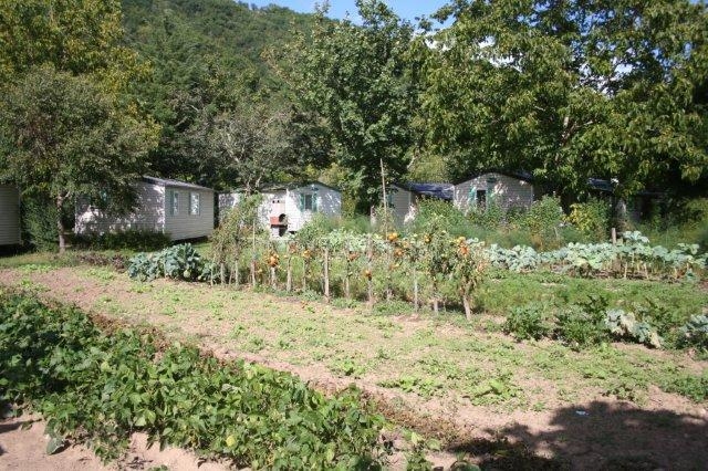 Potager dans un camping